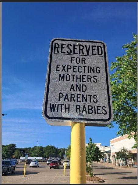 rabies 2 majorgeeks.jpg